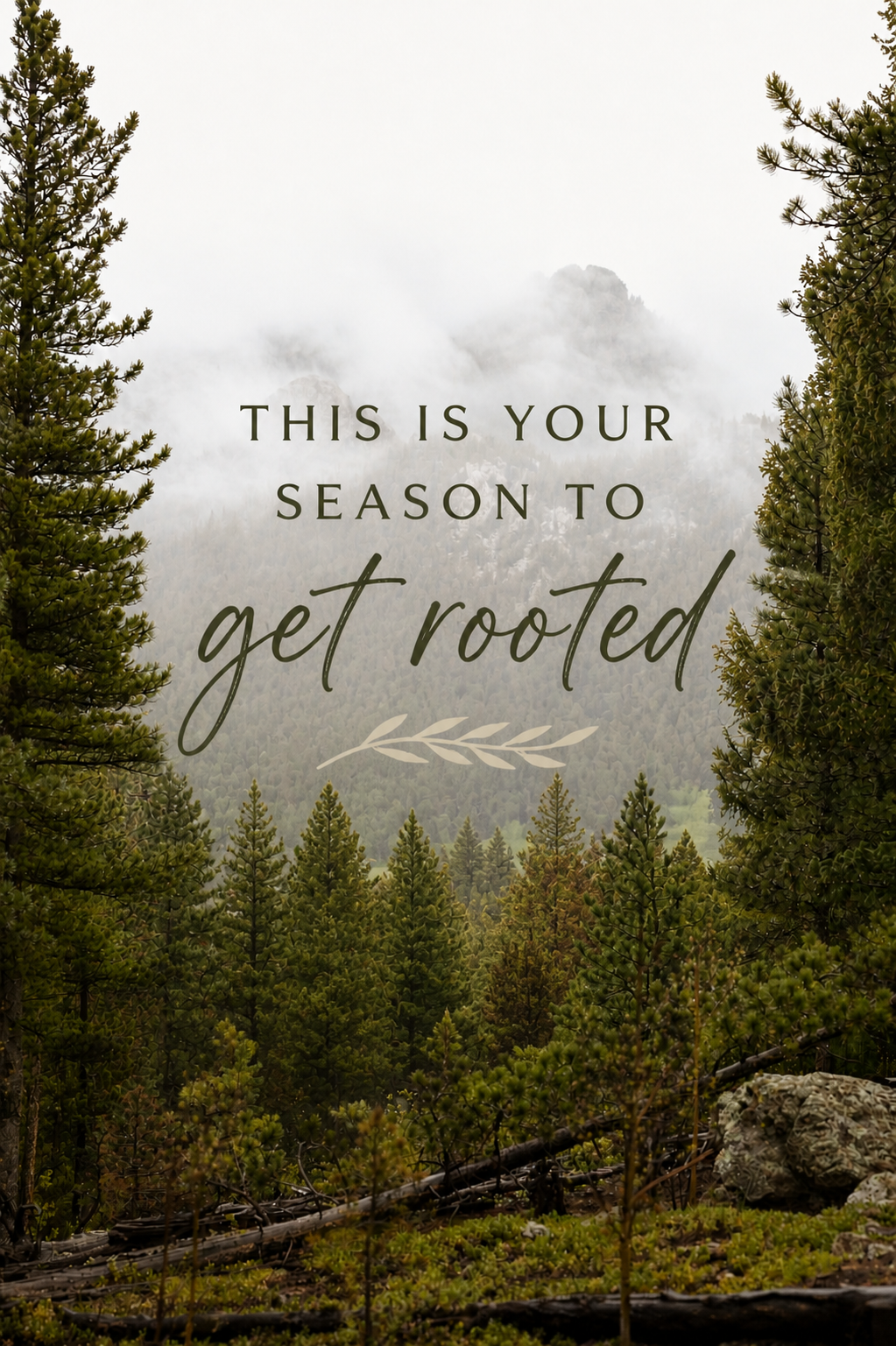 I'm Choosing To Be Rooted In Life This Year