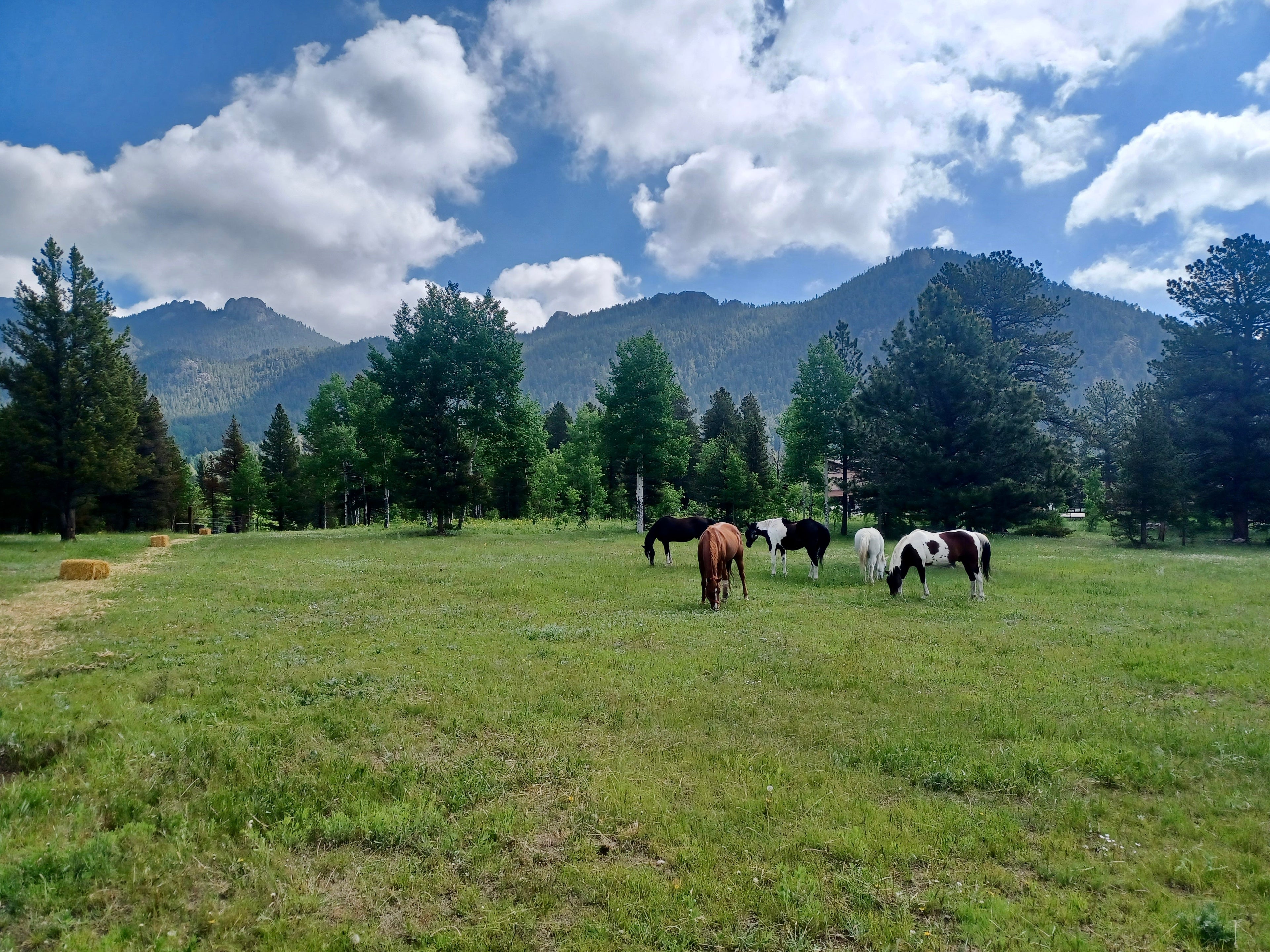 Cozy Gifts That Give Back